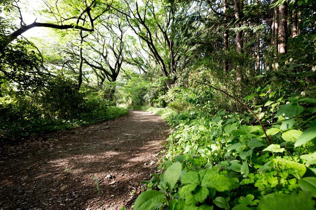 The Canvas Hayama Park Exterior photo